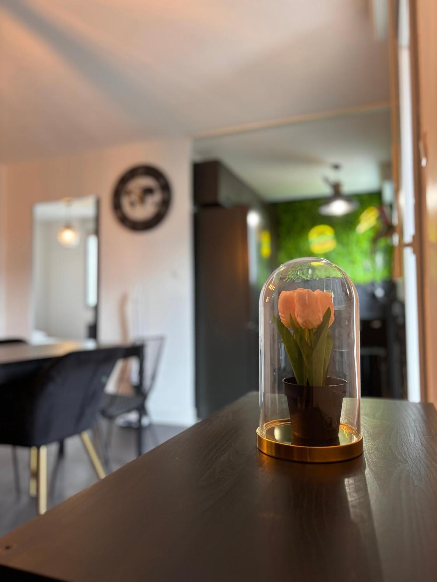 Charmant Appartement Τουλούζη Εξωτερικό φωτογραφία